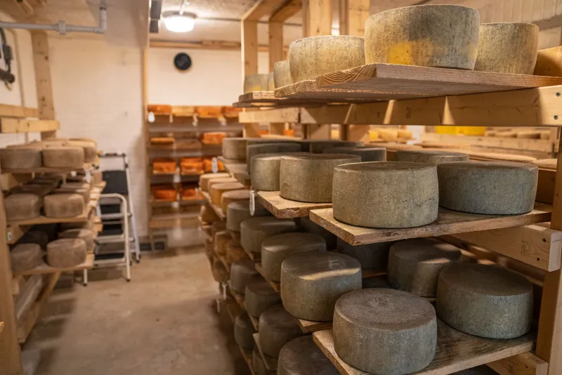 From Basement Corner to Brie Palace: Building Your Own Cheese Cave at Home