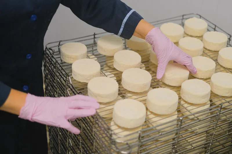 The People Behind the Rind: Real Stories From the Cheesemakers Who Gave Up Everything to Follow the Curd